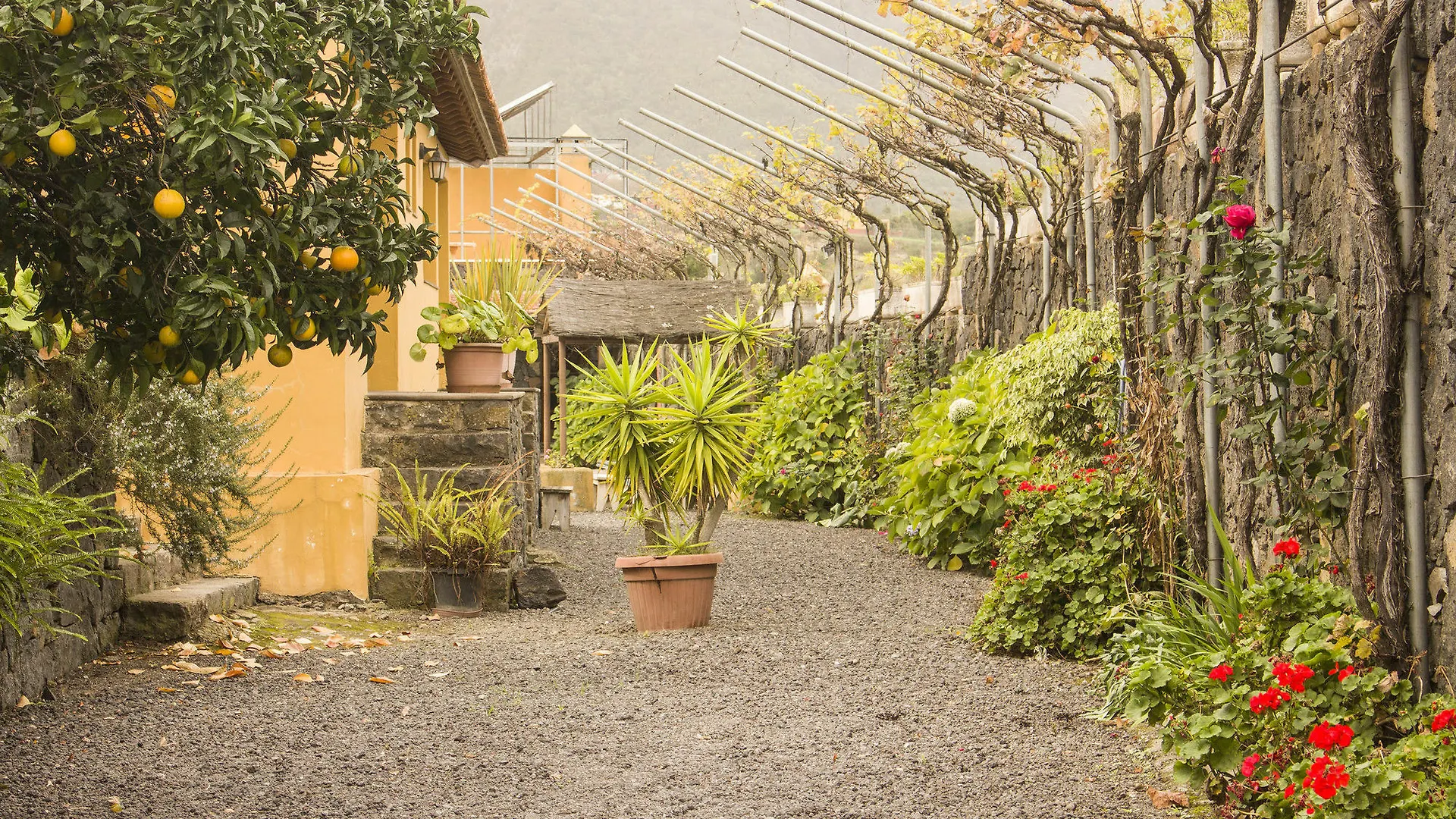 Casa Rural La Tanquera Villa Los Realejos